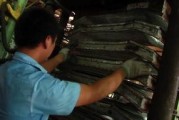 国产福利视屏,展现中国影视魅力与创意风采